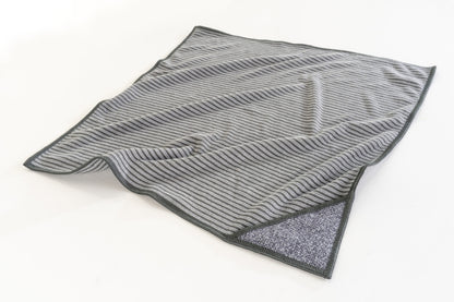 PRO BAMBOO MICROFIBER WINDOW CLOTH 40 x 40 CM (2 UNIDADES)